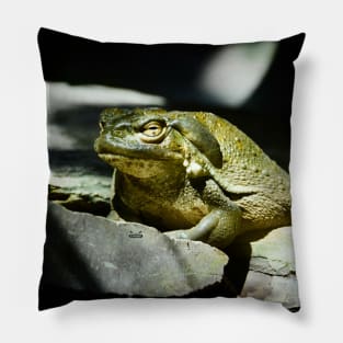 Toad / Swiss Artwork Photography Pillow