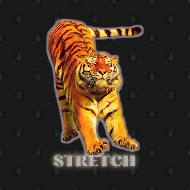Large tiger doing a stretch exercise - silver text 1 by Blue Butterfly Designs 