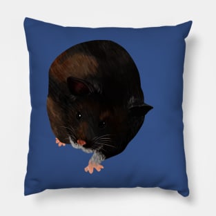 Syrian Hamster Pillow