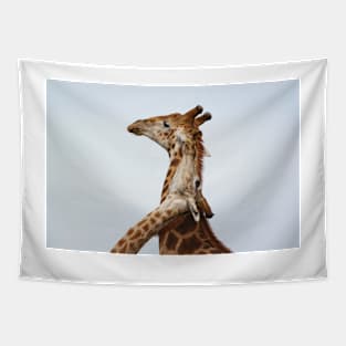 Southern Giraffe (Giraffa giraffa) Tapestry