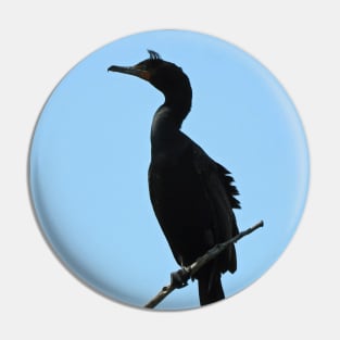 Double-crested Cormorant Perched Pin