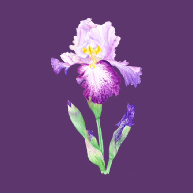 flower wallpaper t shirt watercolor purple iris flower watercolor t shirt flower wallpaper t shirt watercolor purple iris flower watercolor t shirt