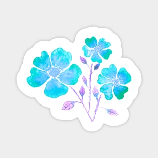 Wild Roses in Turquoise Magnet