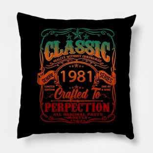 Vintage 1981 Limited Edition 53 Year old 53th Birthday Pillow