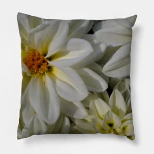 WHELLO FLOWERS PHOTOGRAPHY MY Pillow