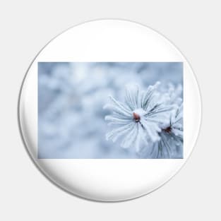 Hoarfrost on conifer tree needles Pin