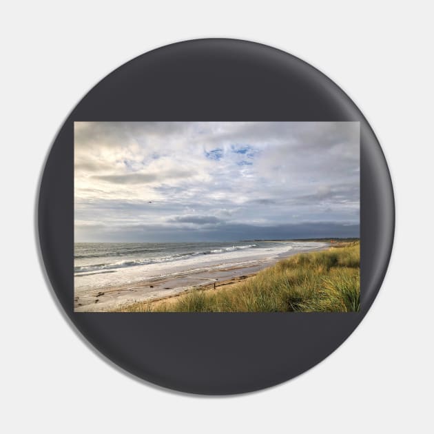 Blustery day on the beach Pin by Violaman