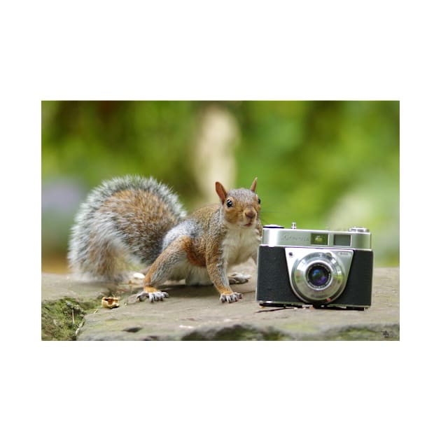 Grey squirrel Photographer with vintage camera by Simon-dell