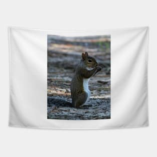 Little Squirrel Tapestry