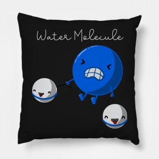 Water Molecule. keep H bonded Pillow