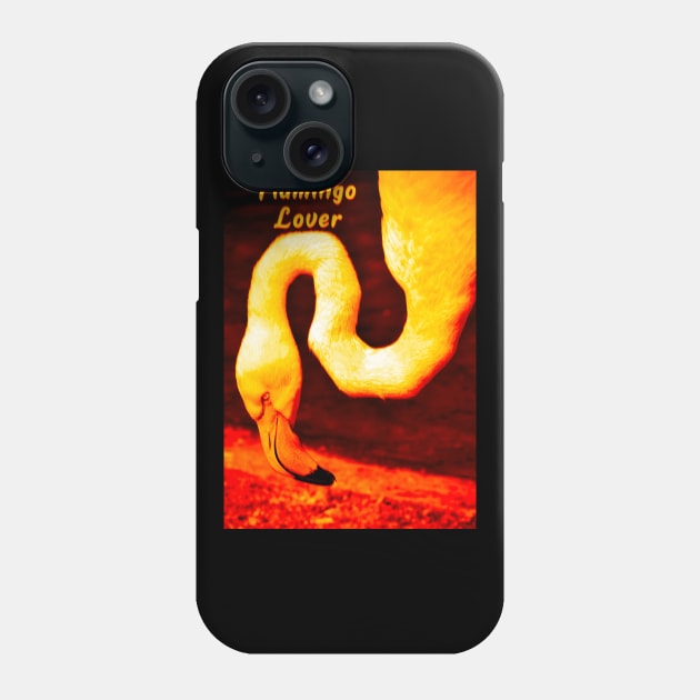 Flim Flam Phone Case by ak3shay