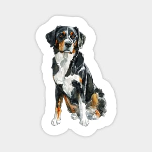 Appenzeller Sennenhund Magnet