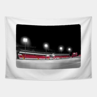 Richmond Park - St. Patrick's Athletic League of Ireland Football Artwork Tapestry