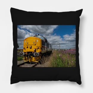 Class 37 Pillow