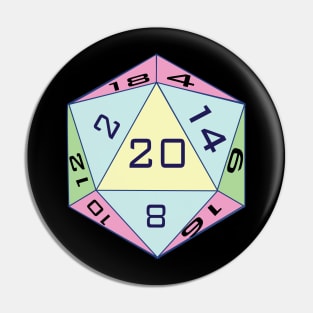 D 20 Pin