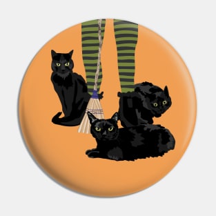 Black cats Pin