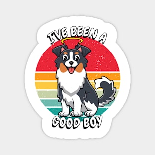 Cute Collie Dog is a Good Boy Magnet