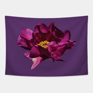 Peonies - Magenta Peony Tapestry