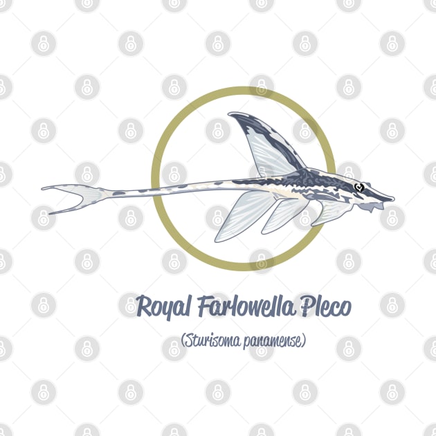 Royal Farlowella Pleco by Reefhorse