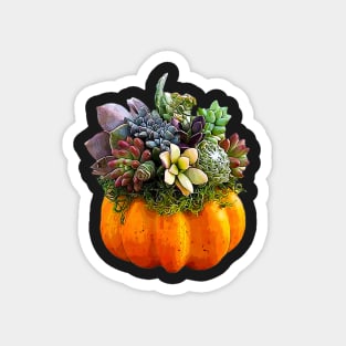 Succulent Halloween Pumpkin Plant Magnet