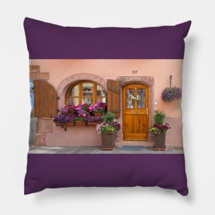 Door and Window Pillow