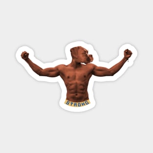 Boxer Bodybuilder Magnet