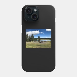 Tunkwa Lake Provincial Park Phone Case