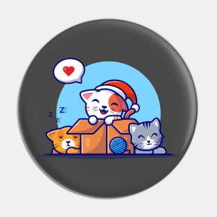 Cute Cats In Box Cartoon Vector Icon Illustration Pin