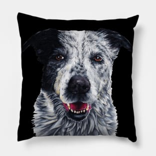 Blue Healer, Sir Charles Pillow