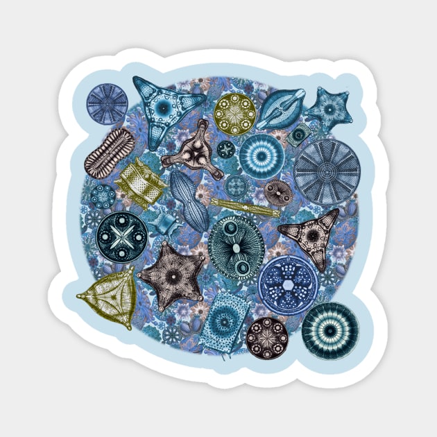 Ernst Haeckel Ocean Diatoms on  Blue Teal Sea Squirt Magnet by Scientistudio