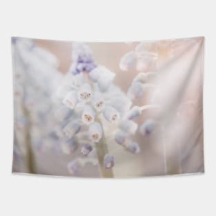 Grape Hyacinth Photo | Plantlife Photography | Atmospheric Muscari Botryoides Close-up Tapestry