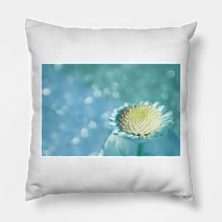 white flower with blue background Pillow