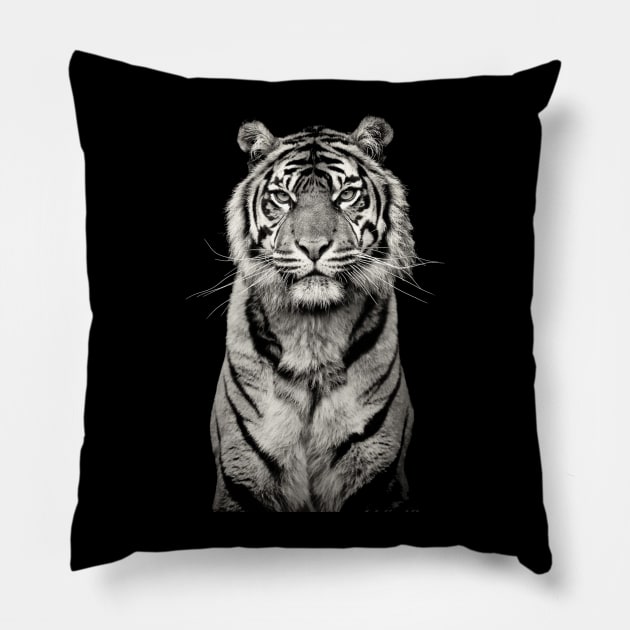 White tiger Pillow by enchantingants