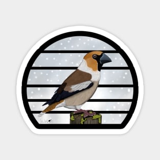 Hawfinch Winter Snow Bird Watching Birding Ornithologist Gift Magnet