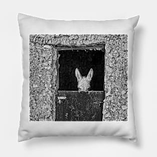 Donkey. Pillow