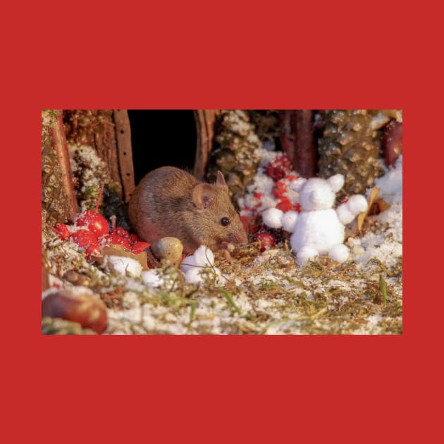 Winter mouse in a christmas house by Simon-dell