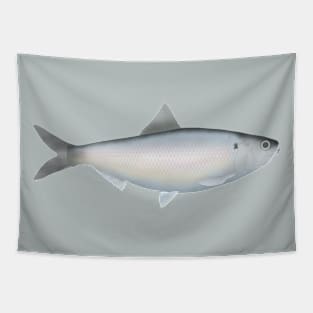 American Shad Tapestry