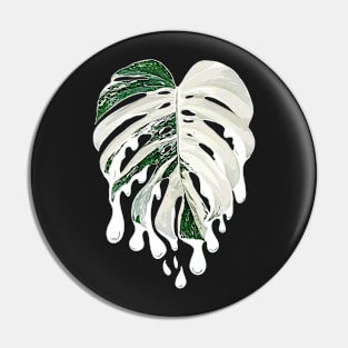 MONSTERA DELICIOSA BLEEDING VARIEGATA Pin