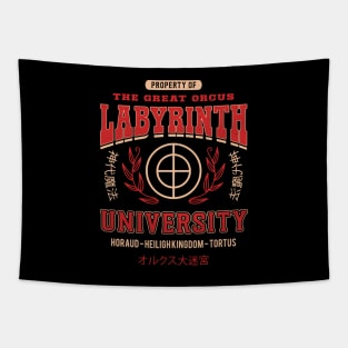 Orcus Labyrinth University Tapestry