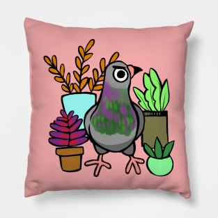 Succulent Pigeon Pillow