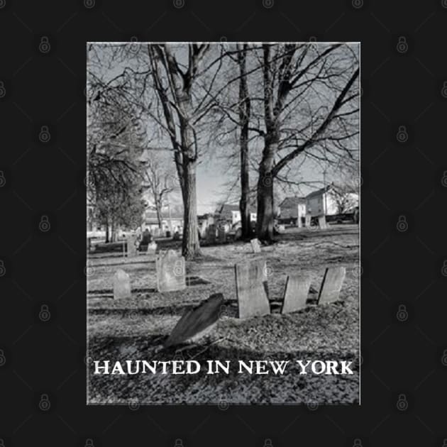 We are the paranormal investigators of NYS by Haunted in New York