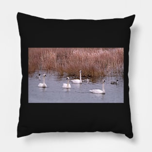 The Swans Pillow