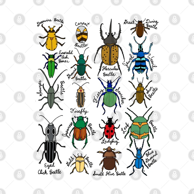 Beetles by HLeslie Design