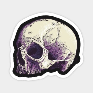 Skull Magnet