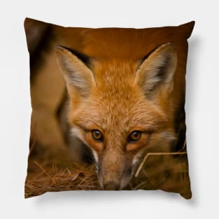 Red Fox Pillow