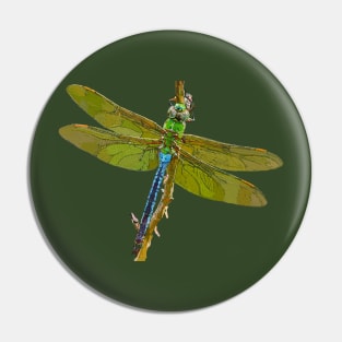 Green Darner Dragonfly Hawaii Pin