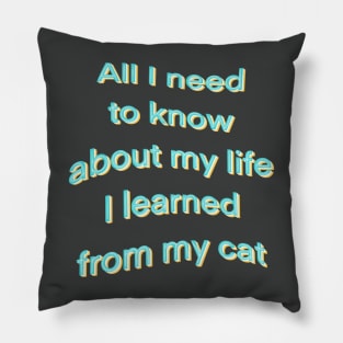 All I need to know about life I learned from my cat Pillow