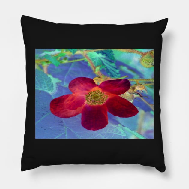 Wild Red Rose-Available As Art Prints-Mugs,Cases,Duvets,T Shirts,Stickers,etc Pillow by born30