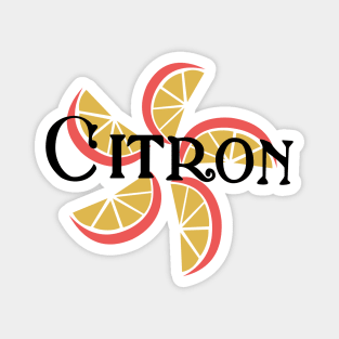 Madewell Multicolor Citron Lemon Fan Art Magnet