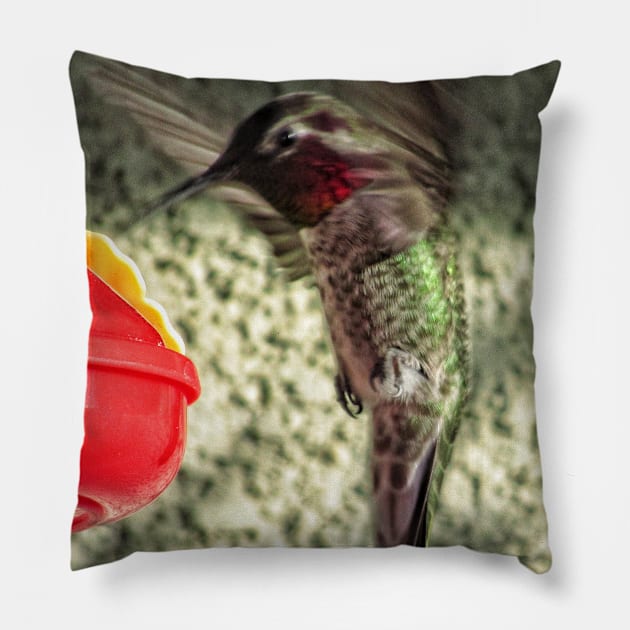 Hummingbird dance Pillow by Photography_fan